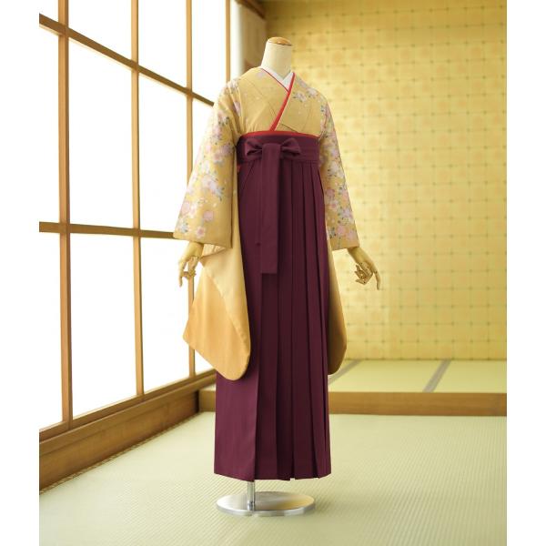 �� ��󥿥� ´�ȼ��� ����  ��ʪ �Ԥ����ͺ�  �� ������ 87cm��103cm  ��Ĺ 151cm��167cm ���� ���� ��ʪ��󥿥� ´�ȼ� �ӥ��å� �߰��� �ե륻�å�