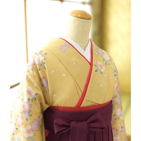 �� ��󥿥� ´�ȼ��� ����  ��ʪ �Ԥ����ͺ�  �� ������ 87cm��103cm  ��Ĺ 151cm��167cm ���� ���� ��ʪ��󥿥� ´�ȼ� �ӥ��å� �߰��� �ե륻�å�