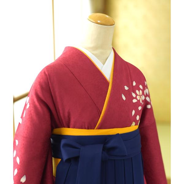 ´�ȼ� �� ��󥿥� ����  ��ʪ �ֺ��βͶ�  �� ���ɽ����� 87��98cm  ��Ĺ 152cm��166cm ��ʪ��󥿥� �ӥ��å� ���� ���� �߰��� ���Ҹ� �ե륻�åȥ�󥿥�