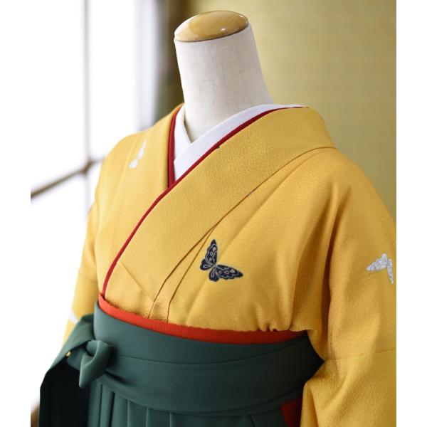 �� ��󥿥� ´�ȼ��� ����  ��ʪ ����ĳ  �� �����꡼�� 93cm��101cm ��Ĺ 155cm��165cm ���� ���� ´�ȼ� ��󥿥� �ӥ��å� �߰��� �ե륻�å� ���Ҹ�