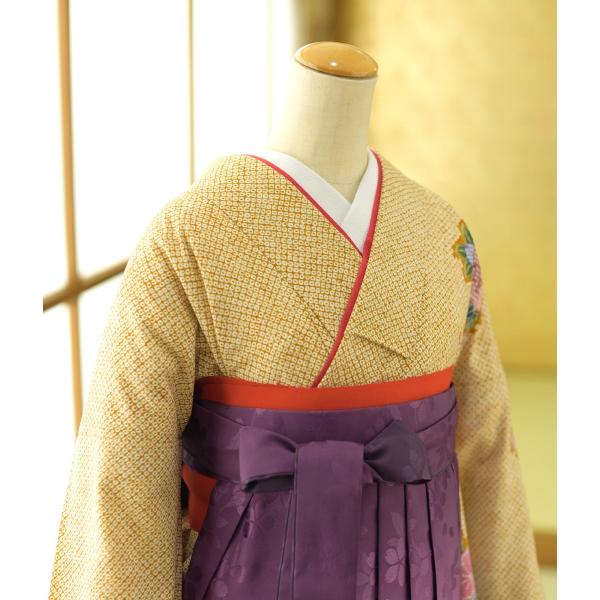 ´�ȼ� �ӥ�󥿥� ���Ҹ�  ��ʪ ���餷�����ܤ���Ģ��  �� �����ܤ����� 91cm  ��Ĺ 153cm��159cm ���� ��ʪ��󥿥� �� �ե륻�åȥ�󥿥� ���� ����