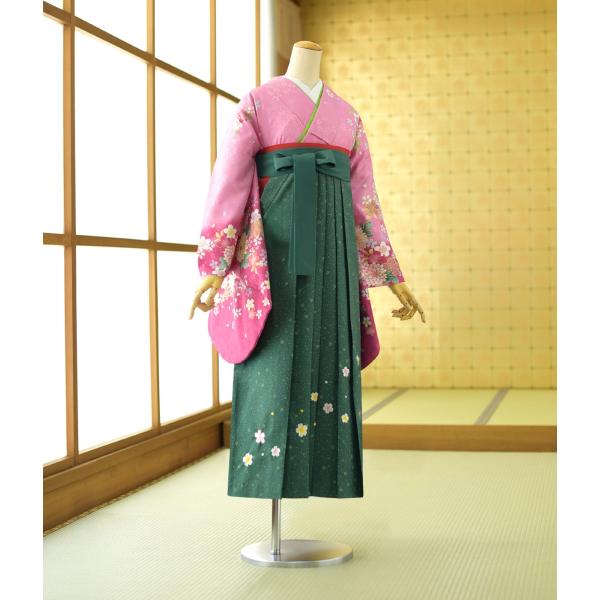 ´�ȼ� ���� ��󥿥� �ӥ��å� ��ʪ �ԥ󥯾���Ȭ�ŵ�  �� �ߥ�˥��॰�꡼��� 92cm  ��Ĺ 154cm��160cm ���� ����ع� ���� �ե륻�å� �� �ӥ�󥿥� 3��