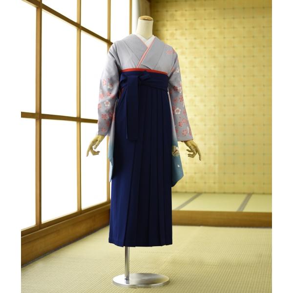 �� ��󥿥� ´�ȼ��� ����  ��ʪ ���졼��褤����  �� �� 84cm��104cm  ��Ĺ 150cm��170cm ���� ���� ´�ȼ� ��󥿥� �ӥ��å� �߰��� ���Ҹ�