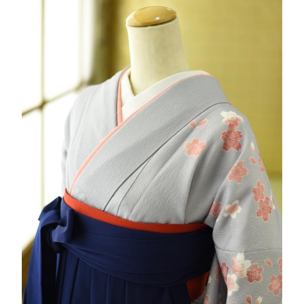 �� ��󥿥� ´�ȼ��� ����  ��ʪ ���졼��褤����  �� �� 84cm��104cm  ��Ĺ 150cm��170cm ���� ���� ´�ȼ� ��󥿥� �ӥ��å� �߰��� ���Ҹ�