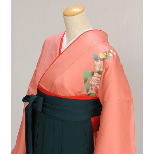 �� ��󥿥� ´�ȼ��� ����  ��ʪ �����ԥ�Ω�β�  �� ���꡼�� 87cm��97cm ��Ĺ 150cm��164cm ���� ���� ���� ´�ȼ� ��󥿥� �ӥ��å� ���Ҹ�