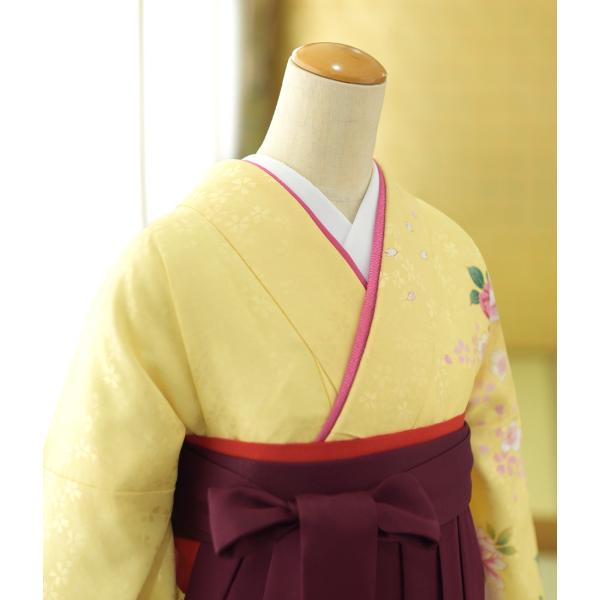 ´�ȼ� ���� �ӥ�󥿥� ��ʪ ���꡼��ֱ� �� ���󥸤ܤ����Х�ϡ��� 95cm ��Ĺ 157cm��163cm ���� ���� ��ʪ��󥿥� ´�༰ �ե륻�å� ������� ���Ҹ� 3��