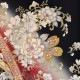 αµ ��󥿥� �뺧�� ��ð�Τ����ʸ�� ��Ĺ 150cm��162cm�� ��ʪ��󥿥� ��� �� �� ��² ���� ��� ���� ��αµ��󥿥� �߰��� α��µ