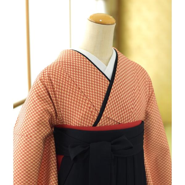 �ӥ�󥿥� ´�ȼ� ���� ���� ��󥿥� �ӥ��å� ��ʪ �𤬤�����/�� ��� µ��1��3�� �� �����澾���� 94��98cm ��Ĺ 156cm��163cm ���� ���� ��ʪ��󥿥� 3��