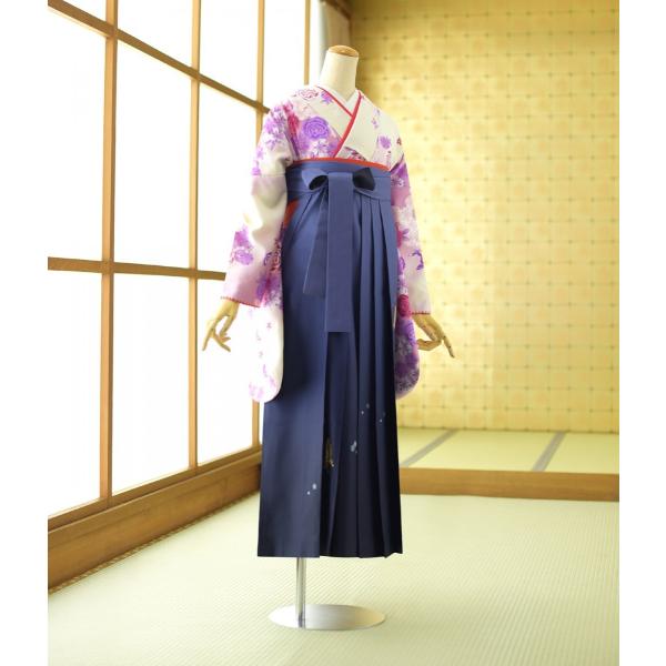 ´�ȼ� �� ��󥿥� ���� ��ʪ ���󥬥���ԥ󥯤ܤ����Х� �� �����ܤ���ĳ 87cm��102cm ��Ĺ 149cm��170cm ���� ���� ��ʪ��󥿥� �ӥ��å� ���Ҹ� 3��