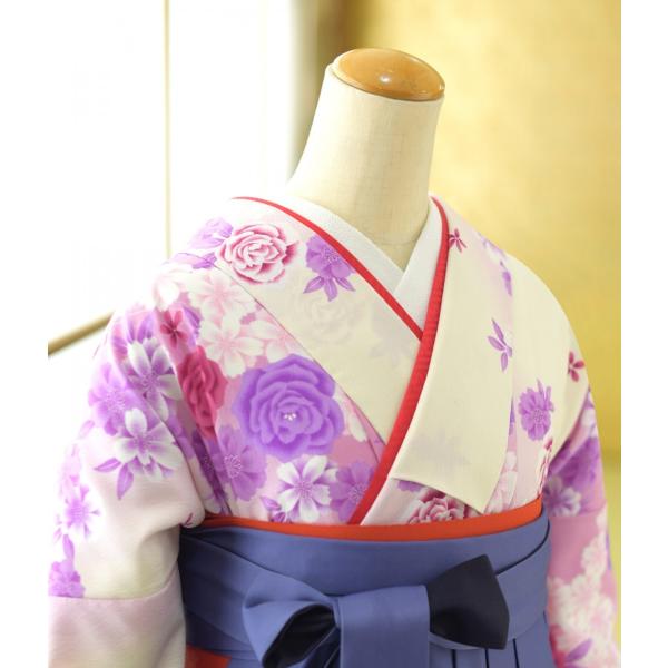 ´�ȼ� �� ��󥿥� ���� ��ʪ ���󥬥���ԥ󥯤ܤ����Х� �� �����ܤ���ĳ 87cm��102cm ��Ĺ 149cm��170cm ���� ���� ��ʪ��󥿥� �ӥ��å� ���Ҹ� 3��