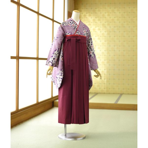 ´�ȼ� ���Ҹ�  ��ʪ �ѡ��ץ��˺�  �� ������ 87cm��96cm ��Ĺ 151cm��167cm ���� ������ ���� ��� û�� ����ع� �ղ��� �礭�ᾮ���� ��󥿥� ���� ��