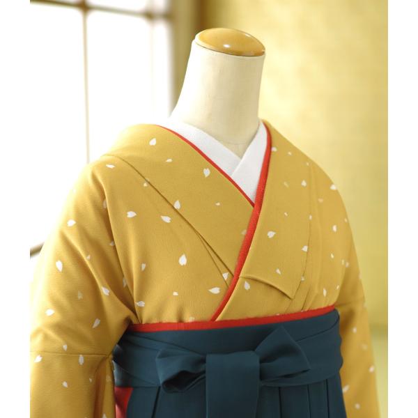 �� ��󥿥� ´�ȼ��� ����  ��ʪ ���������֤Ӥ�  �� ���꡼�� 86cm��97cm ��Ĺ 150cm��164cm ���� ���� ´�ȼ� ��ʪ��󥿥� �ӥ��å� �ե륻�å� ���Ҹ�