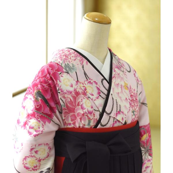 �� ��󥿥� ´�ȼ� ���Ҹ�  ��ʪ JS�ԥ󥯤ܤ���ˤĤ�  �� �����椢��� 87cm��97cm ��Ĺ 151cm��161cm ���� ������ ���� ��� û�� ����ع� ����