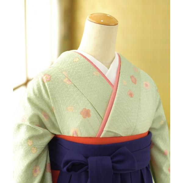 ´�ȼ� �ӥ�󥿥� ���� ��ʪ ���𾮲�  �� ����澾���� 87cm��96cm  ��Ĺ 149cm��164cm ���� ���� �ե륻�åȥ�󥿥� ���Ҹ� 2�� 3�� ��ʪ��󥿥�