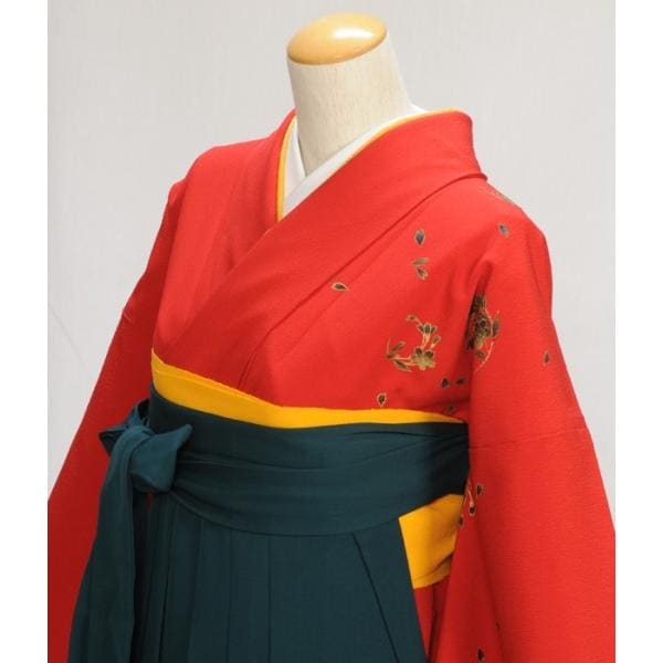 �� ��󥿥� ´�ȼ� ���� ��ʪ��󥿥� �ֲ֤��� �ӥ�󥿥� ���꡼�� 87cm��97cm�Կ�Ĺ��151cm��162cm ���� ���� ´�ȼ� ��ʪ��󥿥� �ӥ��å� ���Ҹ�