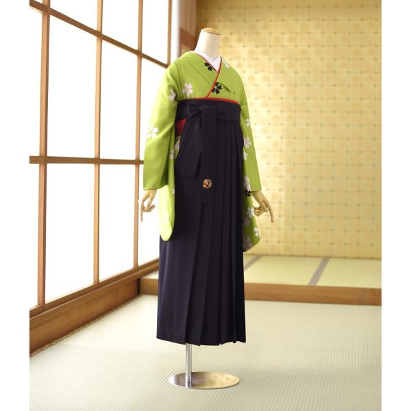 �� ��󥿥� ´�ȼ��� ����  ��ʪ �⤨�ں�  �� �����澾���� 93cm��98cm ��Ĺ 155cm��164cm ���� ���� ´�ȼ� ��ʪ��󥿥� �ӥ��å� �ե륻�å� ���Ҹ�