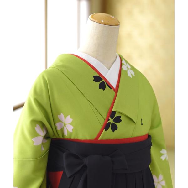 �� ��󥿥� ´�ȼ��� ����  ��ʪ �⤨�ں�  �� �����澾���� 93cm��98cm ��Ĺ 155cm��164cm ���� ���� ´�ȼ� ��ʪ��󥿥� �ӥ��å� �ե륻�å� ���Ҹ�