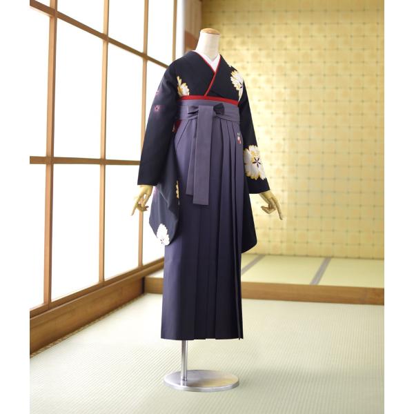 �� ��󥿥� ´�ȼ��� ����  ��ʪ ���Ͼ����  �� ���졼���ܤ��� 87cm��102cm ��Ĺ 151cm��166cm ���� ���� ´�ȼ� ��ʪ��󥿥� �ӥ��å� �� ��