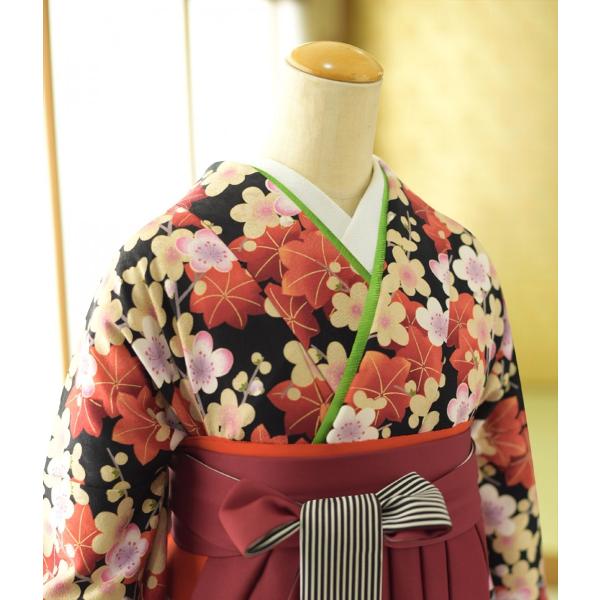 ´�ȼ� �ӥ�󥿥� ���� ��ʪ �ߤȤ����� �� �֤ͤ����� 99cm ��Ĺ 161cm��167cm ���� ���� ��ʪ��󥿥� ´�ȼ� �ӥ��å� �ե륻�å� ��ʪ��󥿥� 3��