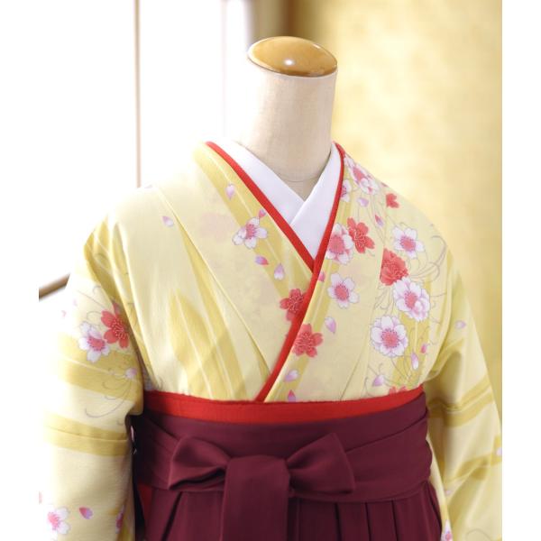 �� �� ��󥿥� ´�ȼ� ����  ��ʪ ����������Ƥ˺�����  �� ������ɽ����� 86cm��95cm ��Ĺ 150cm��159cm ������ ��� û�� ����ع� �ղ���