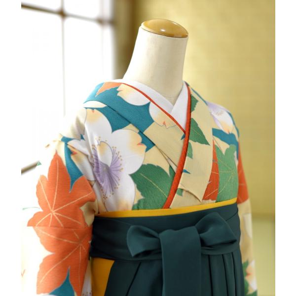 ���ع� ´�ȼ� �� ��󥿥� ��ʪ 13���ꥰ�꡼����˹���  �� ���꡼��ɽ�����(T)87cm  ��Ĺ 149cm��153cm ���λ� �� ������ ���� ����˥���ʪ ��󥿥�