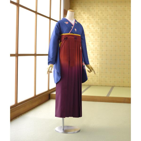 �� ��󥿥� ´�ȼ� ´�༰ ��󥿥� ���Ҹ�  ��ʪ ���졼�֥롼ɱ��  �� ���󤸤ܤ��� ��Ĺ 151cm��162cm ���� ���� �� �ӥ��å� �ե륻�å� ���� ����