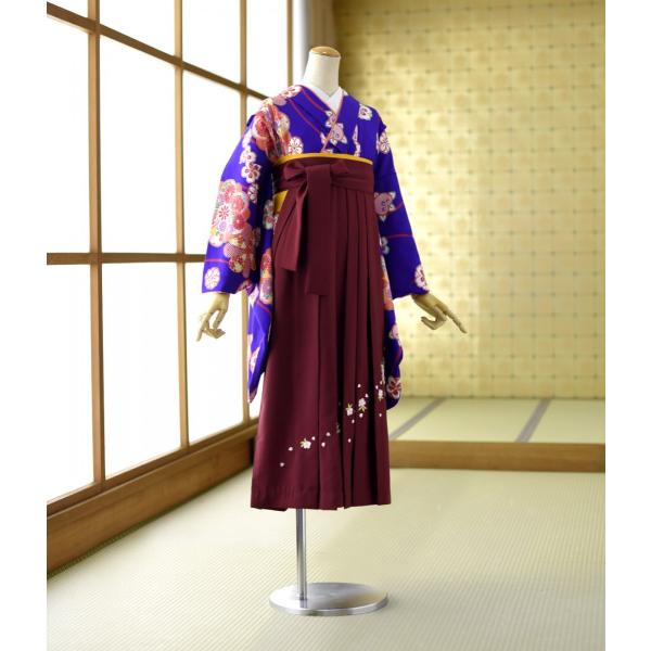 ´�ȼ� �� ��󥿥� ������ ���� ��ʪ 13�����Ω�勞�˲�  �� ���󤸻ɽ����� (T) 87cm  ��Ĺ 149cm��155cm ���ع� ���λ� ��ʪ��󥿥� ����˥���ʪ ��󥿥�