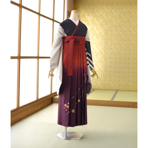 ���Ҹ� ��󥿥� ´�ȼ�   ��ʪ �ץ�ƥ��������꡼   �� ���󤸤ܤ���������� 87cm��102cm ��Ĺ 152cm��167cm ���� ��� û�� ���� ������ ����ع� �ղ���