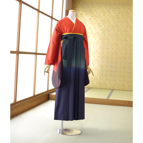 �� ��󥿥� ´�ȼ� ´�༰ ���Ҹ� ��󥿥�  ��ʪ �֤����Ȥܤ���  �� ���꡼��ܤ����� 90cm��103cm ��Ĺ 155cm��168cm ���� ���� ���� ���� �ӥ��å�