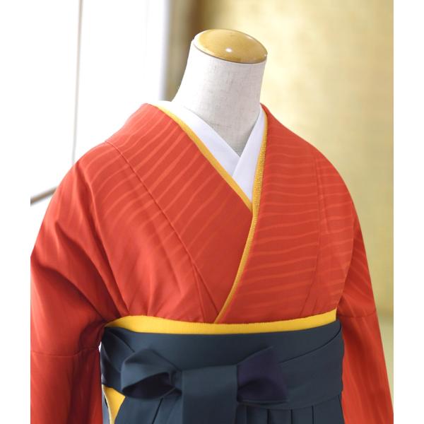 �� ��󥿥� ´�ȼ� ´�༰ ���Ҹ� ��󥿥�  ��ʪ �֤����Ȥܤ���  �� ���꡼��ܤ����� 90cm��103cm ��Ĺ 155cm��168cm ���� ���� ���� ���� �ӥ��å�