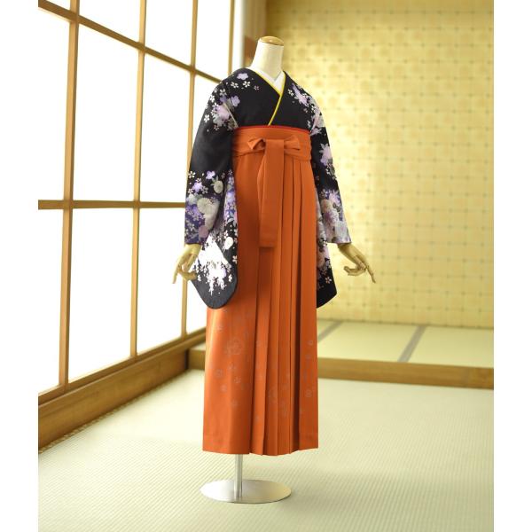 ���Ҹ� ��󥿥� ����  ��ʪ ���ϥ�ܥ�˥�������  �� ���֥�� 87cm��97cm ��Ĺ 152cm��162cm ���� ���� �ӥ��å� ��ʪ��󥿥� ´�ȼ� 2�� 3��