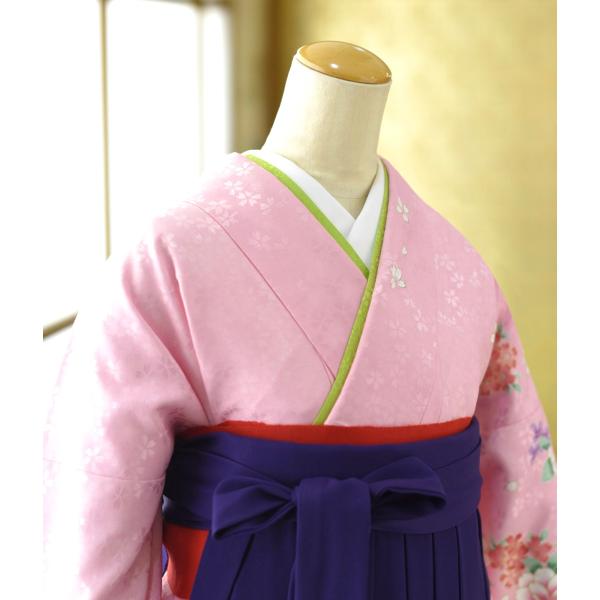 �� ��󥿥� ´�ȼ� ��󥿥� ���Ҹ�  ��ʪ �ԥ󥯶�ź�  �� ����澾���� 87cm��96cm ��Ĺ 152cm��161cm ���� ���� ���� �ӥ��å� ��ʪ��󥿥� �� ��