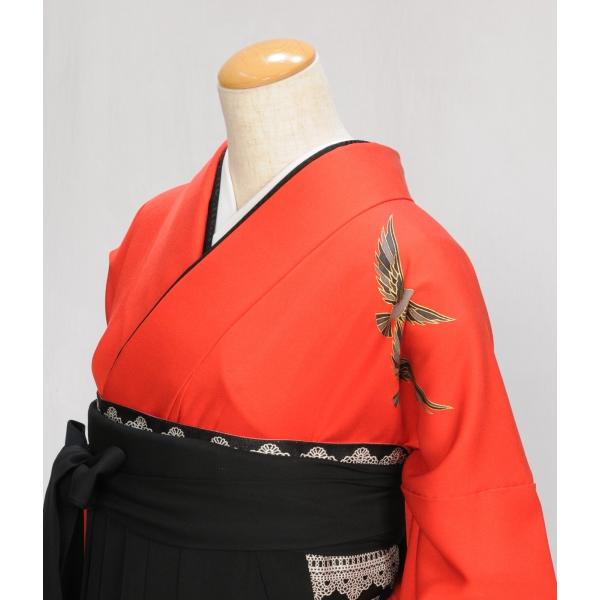 �ӥ�󥿥� ��ʪ ���Ͷ����ϥ�  �� �����椢��� 91cm��97cm  ��Ĺ 158cm��165cm ��󥿥� ´�ȼ� ´�༰ ���Ҹ� ���� ���� �ӥ��å� ´�ȥ��å�