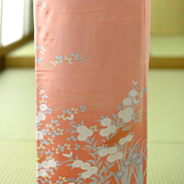 ��αµ ��󥿥� �뺧�� ��ʪ ��² �� �� ���� ������ ���ƤФ� ��ŵ ɽ���� ���� ���� ���� �߰��� ��ʪ��󥿥� ��α��µ �ޤ��� αµ  ���󥴿� ��Ȣ�˲�