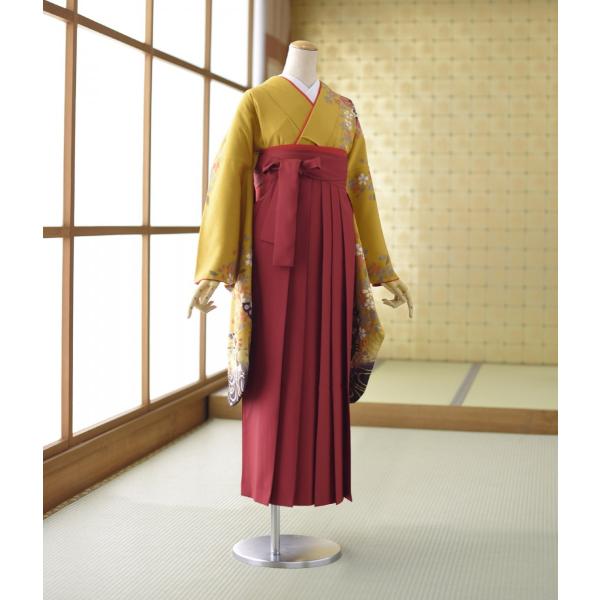 ´�ȼ� ´�༰ �� �� ��󥿥� ��ʪ ���ᤢ������2��µ �� ���� 96cm ��Ĺ158cm��164cm ���� ��� û�� ���� ������ �ݰ�� ���� ��ʪ��󥿥�