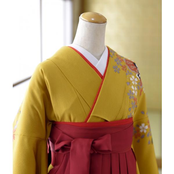 ´�ȼ� ´�༰ �� �� ��󥿥� ��ʪ ���ᤢ������2��µ �� ���� 96cm ��Ĺ158cm��164cm ���� ��� û�� ���� ������ �ݰ�� ���� ��ʪ��󥿥�