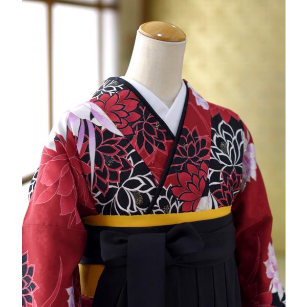 �� ��󥿥� ´�ȼ� �ӥ�󥿥� ���� ��ʪ A&E �֥ե��˥å����� �� �� (T)99cm ��Ĺ 161cm��167cm ���� ���� ��ʪ��󥿥� �ե륻�å� ���Ҹ� ��󥿥�