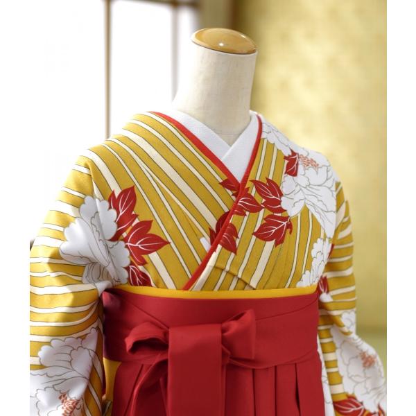 �� ��󥿥� ´�ȼ� ��󥿥� ���Ҹ� ��ʪ �����ȥ饤����ܤ���  �� �� (K)95cm ��Ĺ 157cm��163cm ��� û�� ����ع� ���� ������ �ݰ�� ´�༰