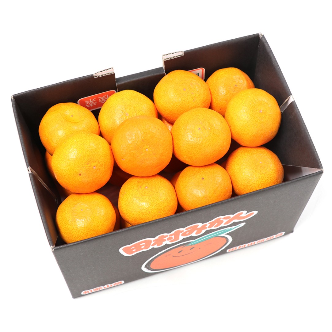 送料込】和歌山県産田村みかん《畑伊》 2S～Mサイズ [みかん]（常温