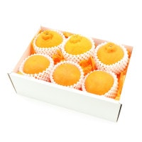 ���������ۤ��Ȥ����ǥ��ݥ�ʾﲹ�ء�