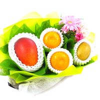 ���������ۡڤ�£���۸�ʡ�ե롼�ġ��ե����եȣ� �������ᴻ�� ���� ���󥴡���ɥ����� �񻺥ޥ󥴡� �ʥ������ء�