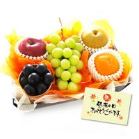 ���������۷�Ϸ�����ե롼�ĥ��եȣ� ���㥤��ޥ����å� ��� �� ���֤ɤ� ���� �ʥ������ءˡ����ջ����Բġ�