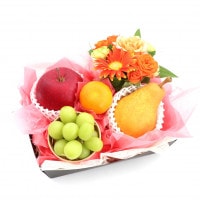 ۸ʡե롼ġեեȣ[ 㥤ޥå ߤ  ]ʥء