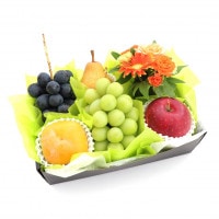 ۸ʡե롼ġեեȣ[֤֤ɤ  㥤ޥå   ]ʥء