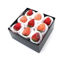 ۡڤ£۹򤤤ߥ˥ܥå Ȣ 150g[򤤤]ʥءˡջԲġ