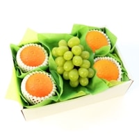 �ڥե롼��ʡ�ޡۡڿ����ò��ۡ��������۹Ȥޤɤ�ʤȥ��㥤��ޥ����åȤΥե롼�ĥ��եȥ��å� [�Ȥޤɤ�� ���㥤��ޥ����å�] �ʥ������ء�