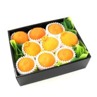 ���������ۥǥ��ݥ�Ȥ������ᴻ�̣��� �������ᴻ�� �ǥ��ݥ� �ʾﲹ�ء�