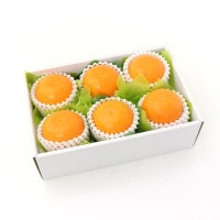 ���������ۤ��Ȥ�����������ǻ���ʴŤߡ��Ȥ���������ۡʾﲹ�ء�