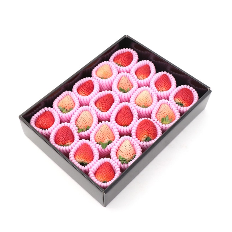 ���������ۤ��������￩����٥��åȡ��֣���򣱼�� ������ �򤤤��� �ʥ������ء�