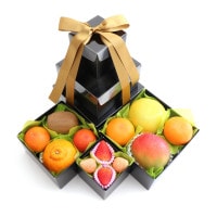 ���������ۥե롼�ĥ���ʣ��ʡ� ������ �������ᴻ�� �������ե롼�� �ǥ��ݥ� �֥�åɥ���� �ޥ󥴡� ���������ɤޤ��ϥ����֥�󥳤ޤ��������� �򤤤��� �ʥ������ء�